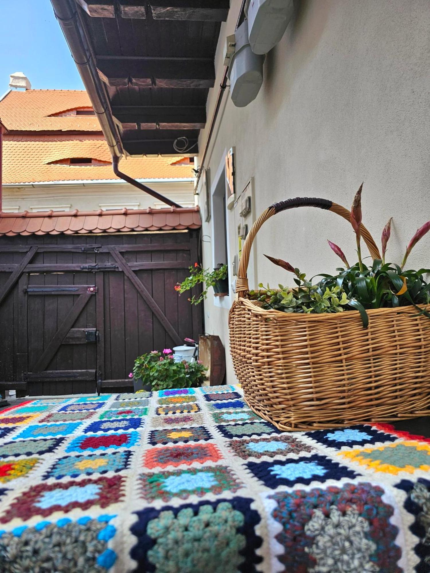 Central Cozy House