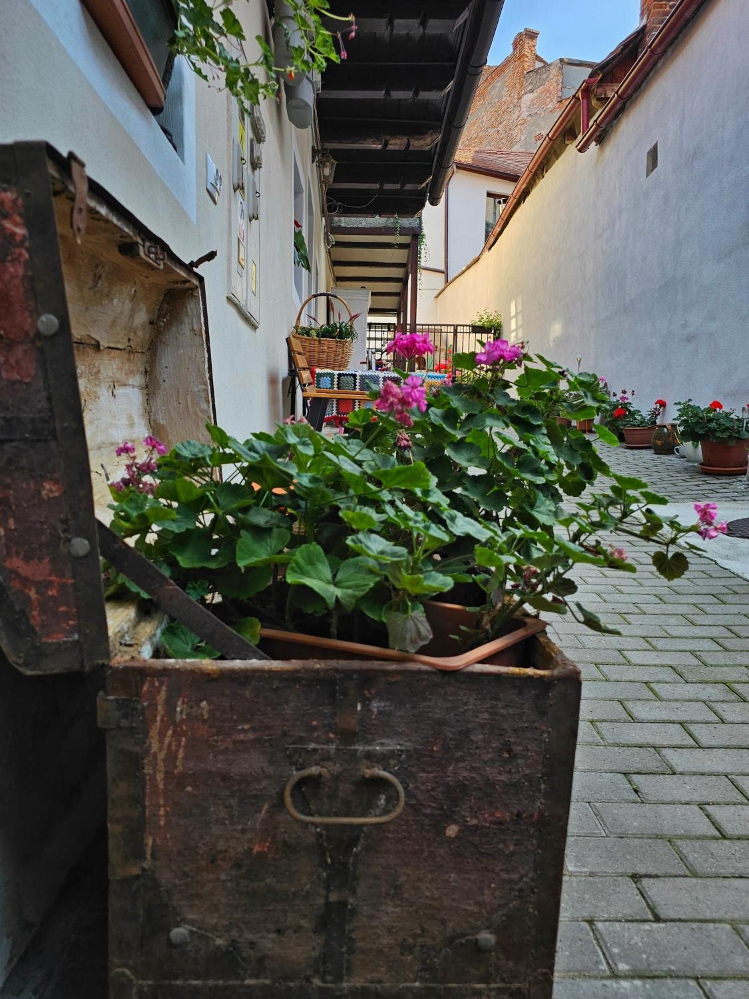 Central Cozy House Apartment Hermannstadt