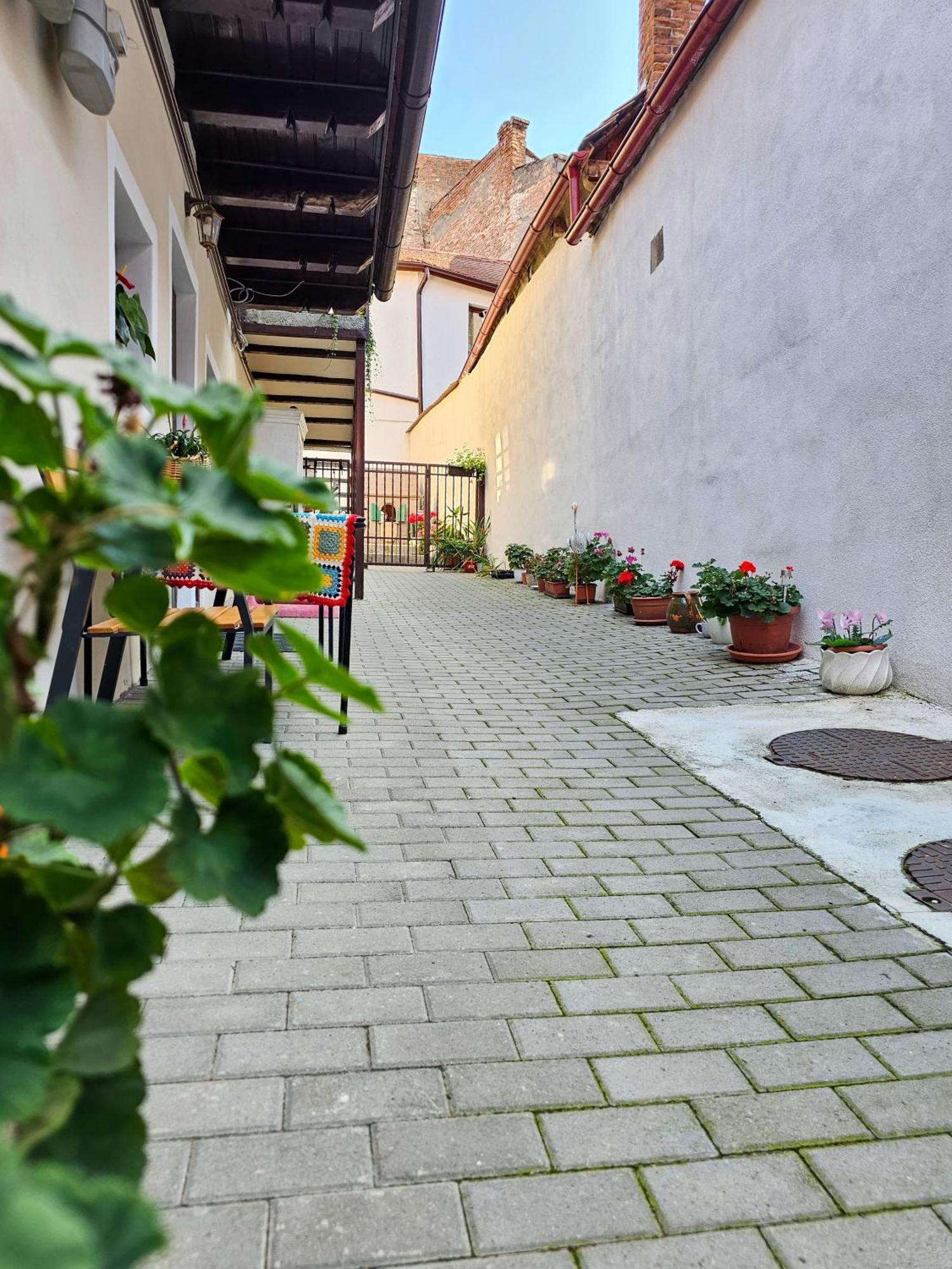 Central Cozy House * Hermannstadt